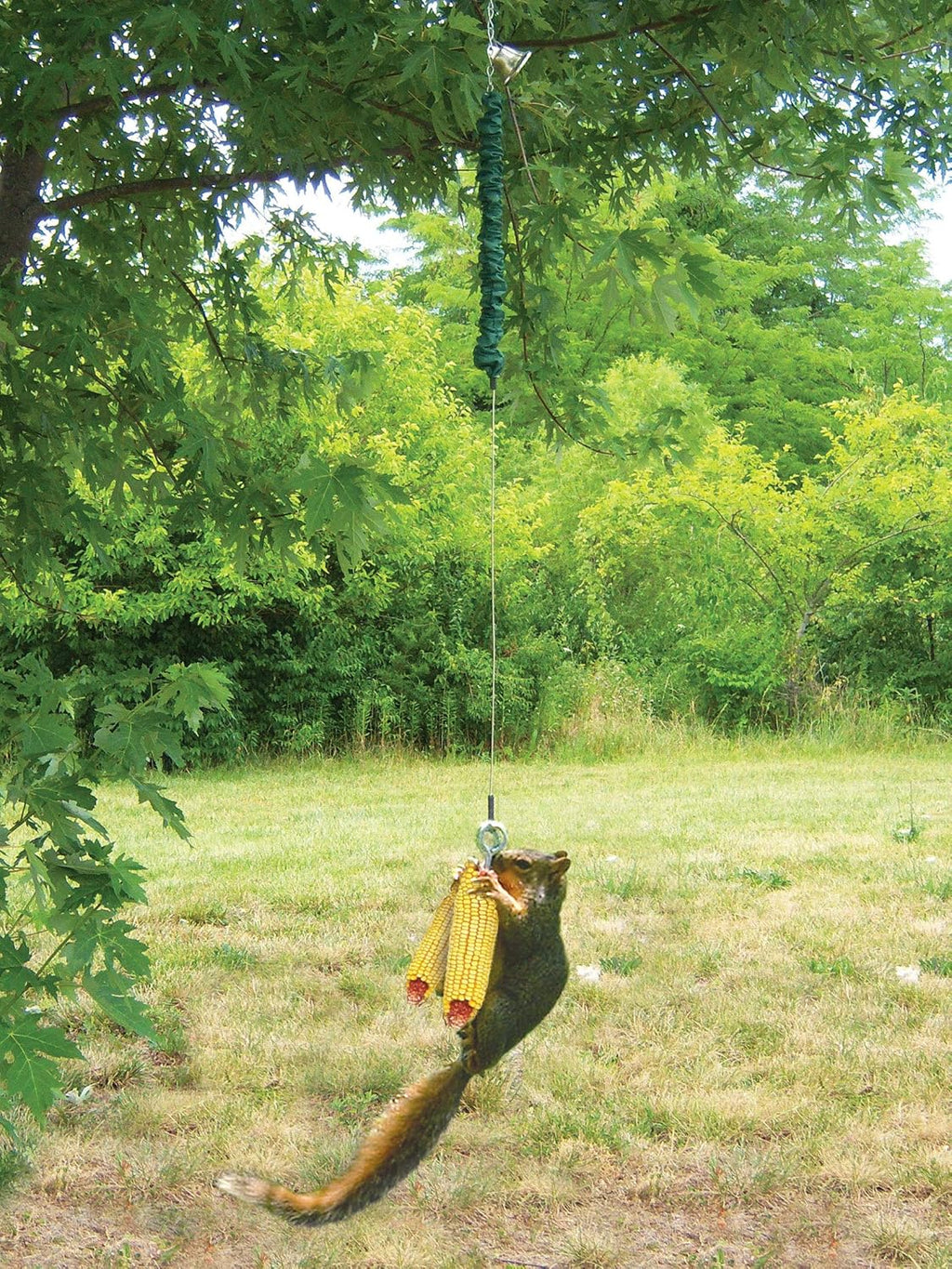 Squngee Squirrel Feeder, Amusing Bungee and Bell Squirrel Feeder, Holds 2 Ears of Corn
