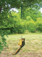 Squngee Squirrel Feeder, Amusing Bungee and Bell Squirrel Feeder, Holds 2 Ears of Corn