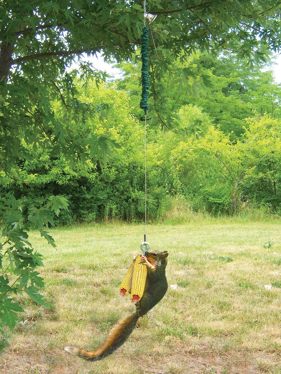 Squngee Squirrel Feeder, Amusing Bungee and Bell Squirrel Feeder, Holds 2 Ears of Corn