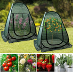 pop up plant cover tent for outdoor plants on a desk or shelf