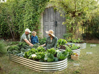 Plant & Plot Galvanized Raised Garden Beds Outdoor // 8×4×1 ft (2-Pack) Planter Raised Beds for Gardening, Vegetables, Flowers // Large Metal Garden Box // Patented Tool-Free Design (Gray)