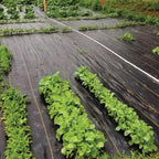 dewitt sunbelt weed barrier fabric 3.2 oz, 4, front angle view