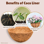 LaLaGreen 8'' (4 Pack, Round) Coco Liners for Hanging Basket – Small Coir Fiber Replacement for Flower Pot, Garden Holder, DIY Outdoor Planter – Multi Sizes 10/12/14/16/18/20 Inch & Different Shapes