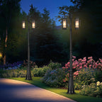 Modern Outdoor Lamp Post Light 2-Head, Hardwired Street Light Post for Outside Metal Pole Light Outdoor Lighting with Water Glass Shade for Garden Patio Backyard Walkway Driveway