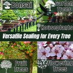 New Bonsai Pruning Cutting Sealer 100g Made in Japan