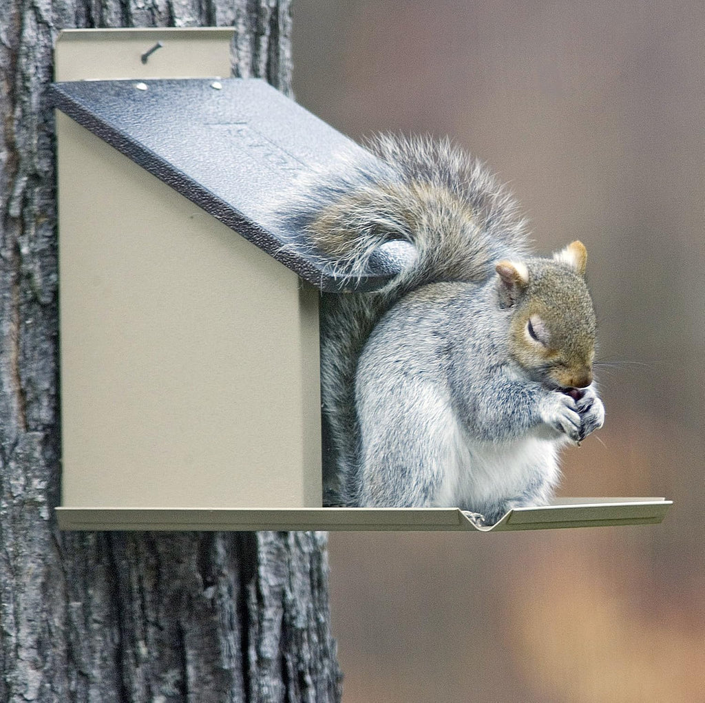 Stokes Select Lunch Box Squirrel Feeder with Metal Roof, 4.1 lb Capacity