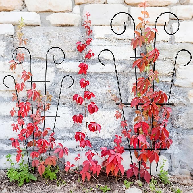 4 Pack 43'' Indoor Plant Trellis for Potted Plants Climbing, Outdoor Metal Garden Trellis Houseplants Flowers Vine Ivy, Wave Shape, Black
