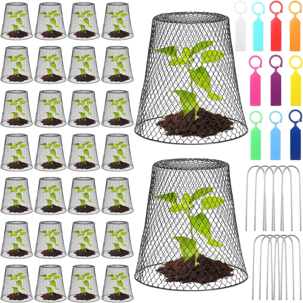 geosar 20 pcs 9 inch chicken wire cloche shown in use