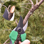 Pri Gardens 8 Inch Garden Pruner with a SK5 Carbon Steel, Non-stick, Rust Resistant Blade. Adjustable for Small and Large Hands