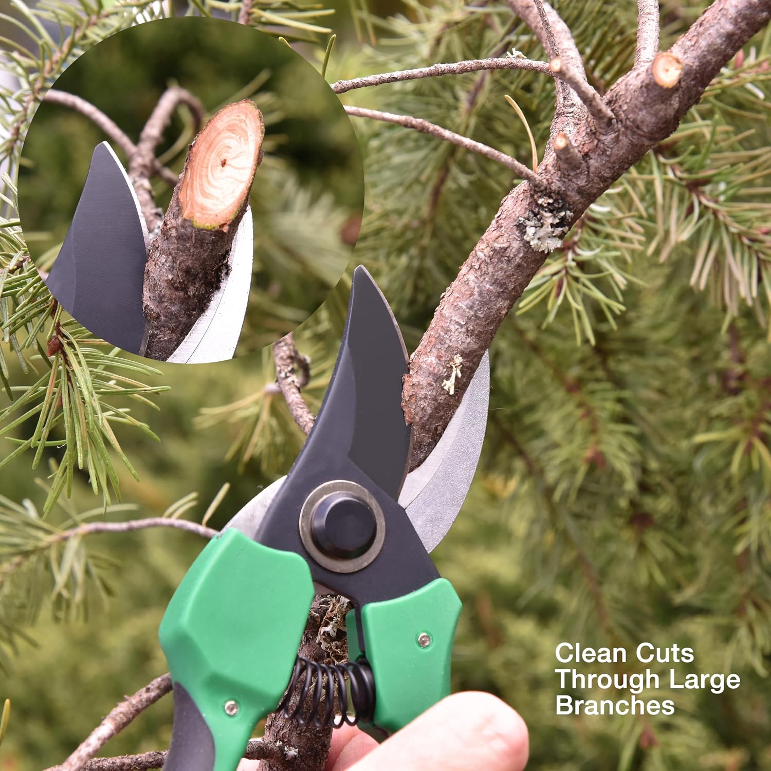 Pri Gardens 8 Inch Garden Pruner with a SK5 Carbon Steel, Non-stick, Rust Resistant Blade. Adjustable for Small and Large Hands