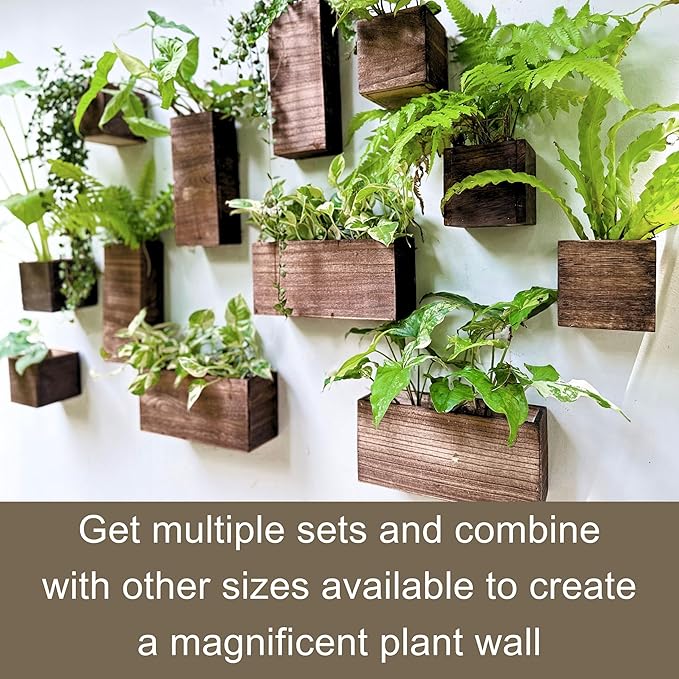 LaLaGreen Wood Planter Box for Plants (6 Pack) Wooden Hanging Wall Planters for Indoor Plant Holder Vase for Dried Flowers, Modern Farmhouse Wall Decor Living Room Bedroom Kitchen Office Home Garden