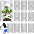 winemana 12 set garden plant protector cage,36 pcs, main product view