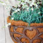 Esschert Design USA BPH51 Half Round Cast Iron Wall Planter
