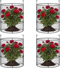 dhampooh garden cloches for plants, outdoor plant protectors, main product view