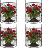 dhampooh garden cloches for plants, outdoor plant protectors, main product view