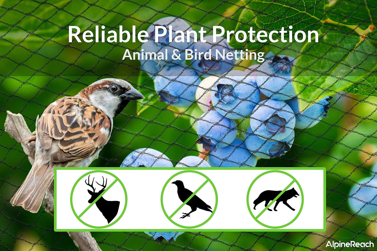 alpinereach garden netting 15 x 30 ft, black shown in use