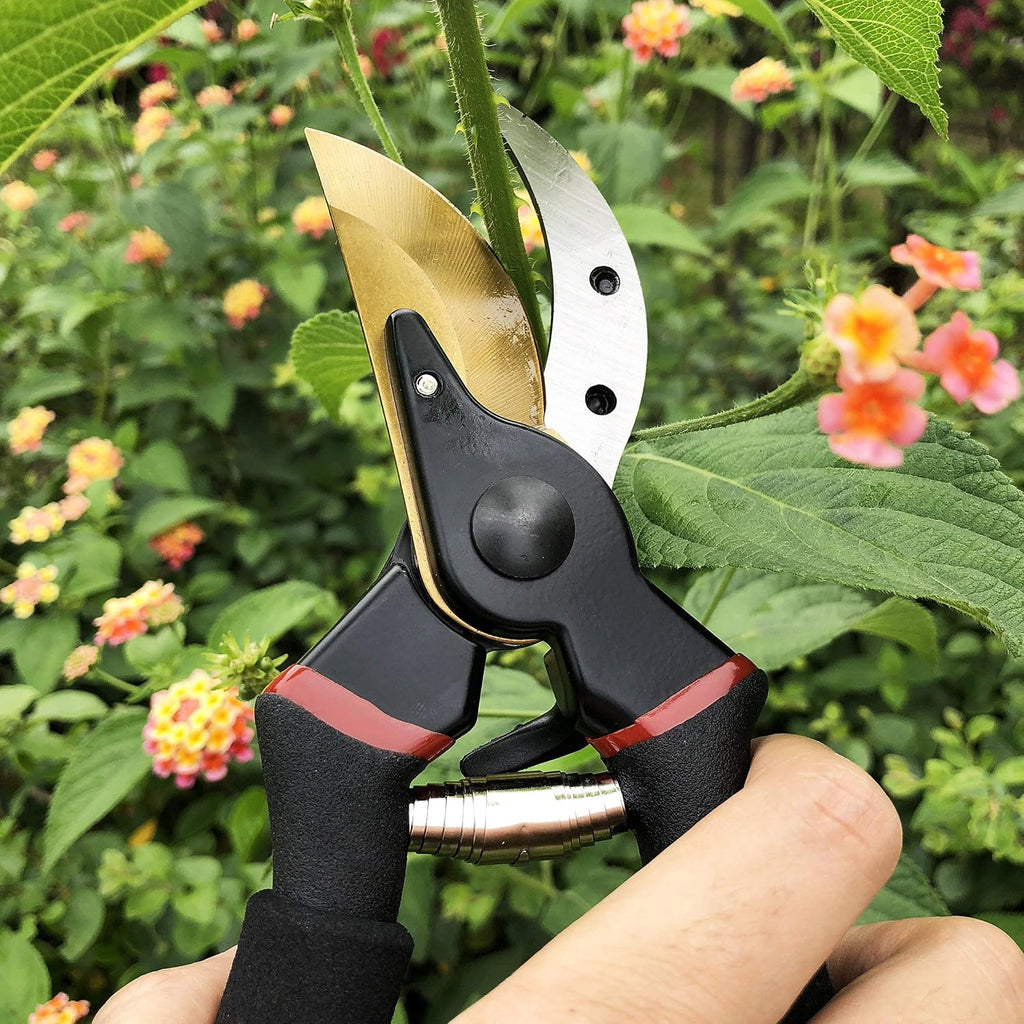 gonicc 8" Professional Premium Bypass Titanium Pruning Shears(GPPS-1003) | Titanium coated SK5 steel blade, Ergonomic non-slip handle, Sap groove anti-stick design, Cuts up to 3/4" branches