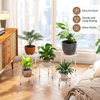 Plant Stand Indoor Outdoor 5 Pack Heavy Duty Metal Stand Multiple Plants, Anti-Rust Iron Flower Pot Stand Decoration Racks Plant Pot Shelf for Living Room Garden Balcony (White)