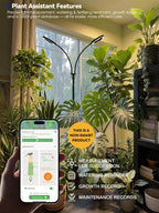 36W Grow Lights for Indoor Plants,Full Spectrum LED Plant Light with Stand | Dual Heads, Adjustable Height and Angle, 3/9/12H Timer, Dimmable, 3 Modes Floor Plant Growing Lamp for Indoor Growing, Black
