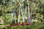 FELCO F221-70 Swiss Made Loppers for Gardening – 28" Lightweight Precision Loppers for Tree Trimming | Tree Branch Cutters | Tree Trimmer Tool with Curved Bypass Blade | I-Beam Handles | Orchard Reach
