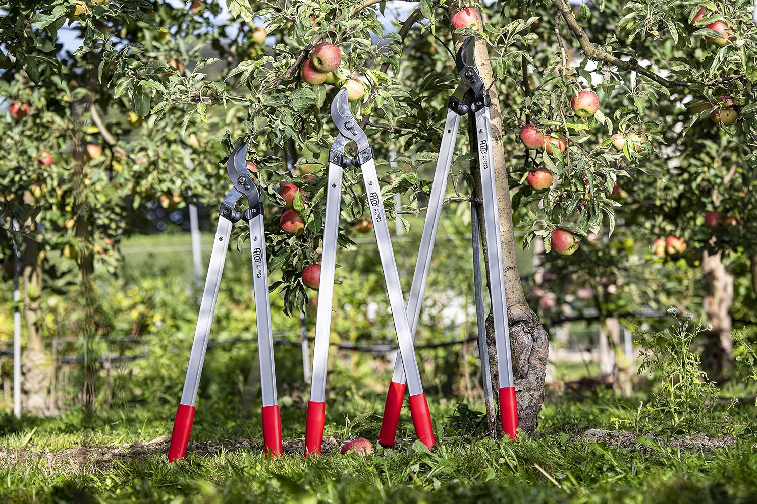 FELCO F221-70 Swiss Made Loppers for Gardening – 28" Lightweight Precision Loppers for Tree Trimming | Tree Branch Cutters | Tree Trimmer Tool with Curved Bypass Blade | I-Beam Handles | Orchard Reach