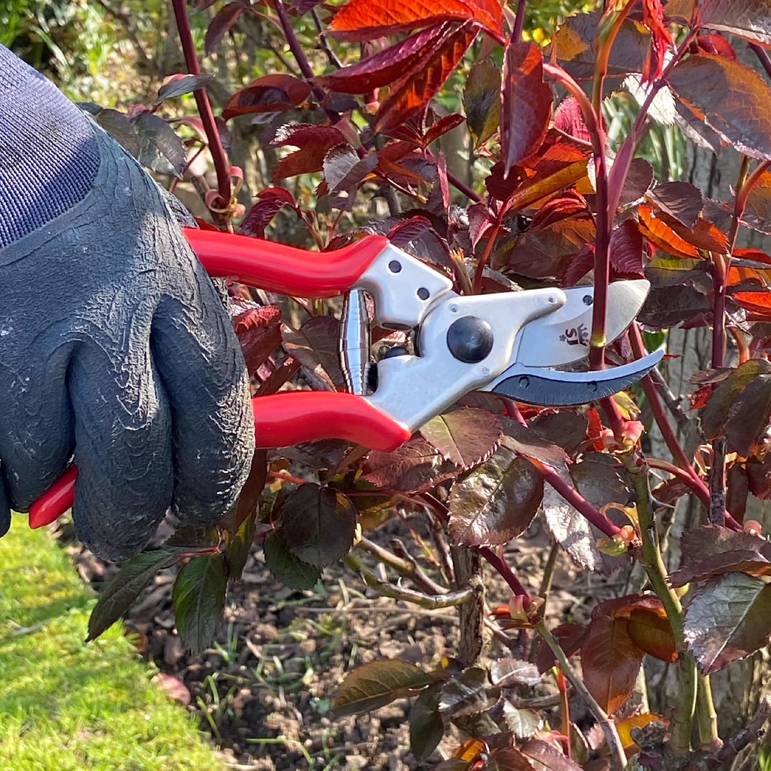Spear & Jackson 6960CHBS Razorsharp Bypass Cut & Hold Secateurs with High Carbon Steel Blades, Lightweight Forged Aluminium Handle, Adjustable Catch & Shock Absorber