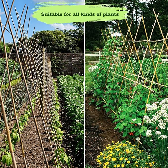 25pcs 1/2" D Thicker Heavy Duty Bamboo Stakes, 4FT Plant Stakes, Natural Garden Stakes for Tomato, Bean, Flowers,Trees Potted and Climbing Plant Support