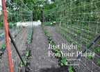 alpinereach trellis netting 4ft x 328ft heavy duty, package contents