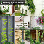 Wire Trellis for Climbing Plants Outdoor, 12-Set Wall Wire Trellis Kit with 1/8in x 53ft Stainless Steel Cable, T316 Espalier System for Fence and Garden DIY Projects