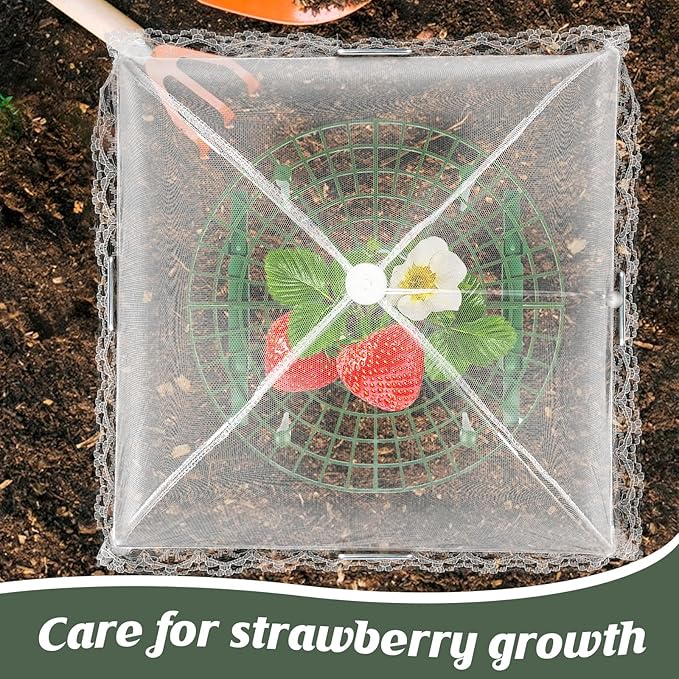 6 Sets Strawberry Plant Support with Mesh Plant Cover,Strawberry Growing Racks Sets with Iron Plant Nails and Storage Bag for Garden Strawberry Vegetables(White Net - Round)