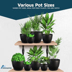 Lifemaster Plant Pots with Multi Drainage Holes - 10 Pieces Versatile, Sturdy Plastic, Stackable Design Home Decor Flower Pots for Indoor and Outdoor Gardening - Black