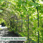 multi-size large garden support arch frame climbing plant, side view
