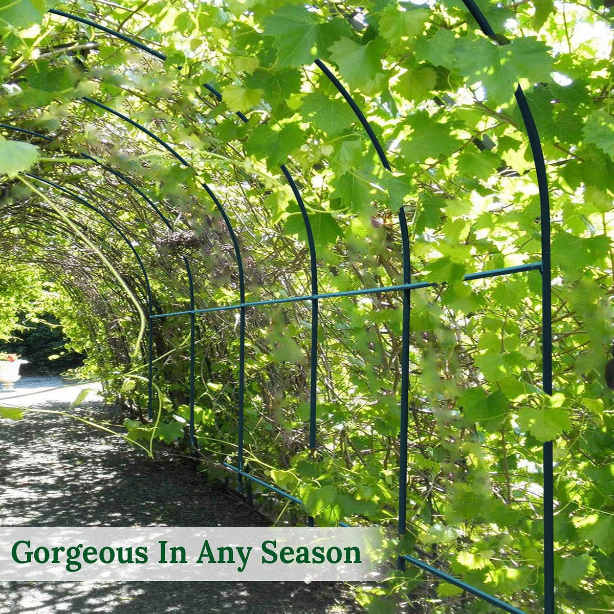 multi-size large garden support arch frame climbing plant, side view