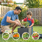 Raised Garden Bed with Tomato Planter Cage, Trellis Planter Boxes for Outdoor Patio Greenhouse Gardening Climbing Vegetables