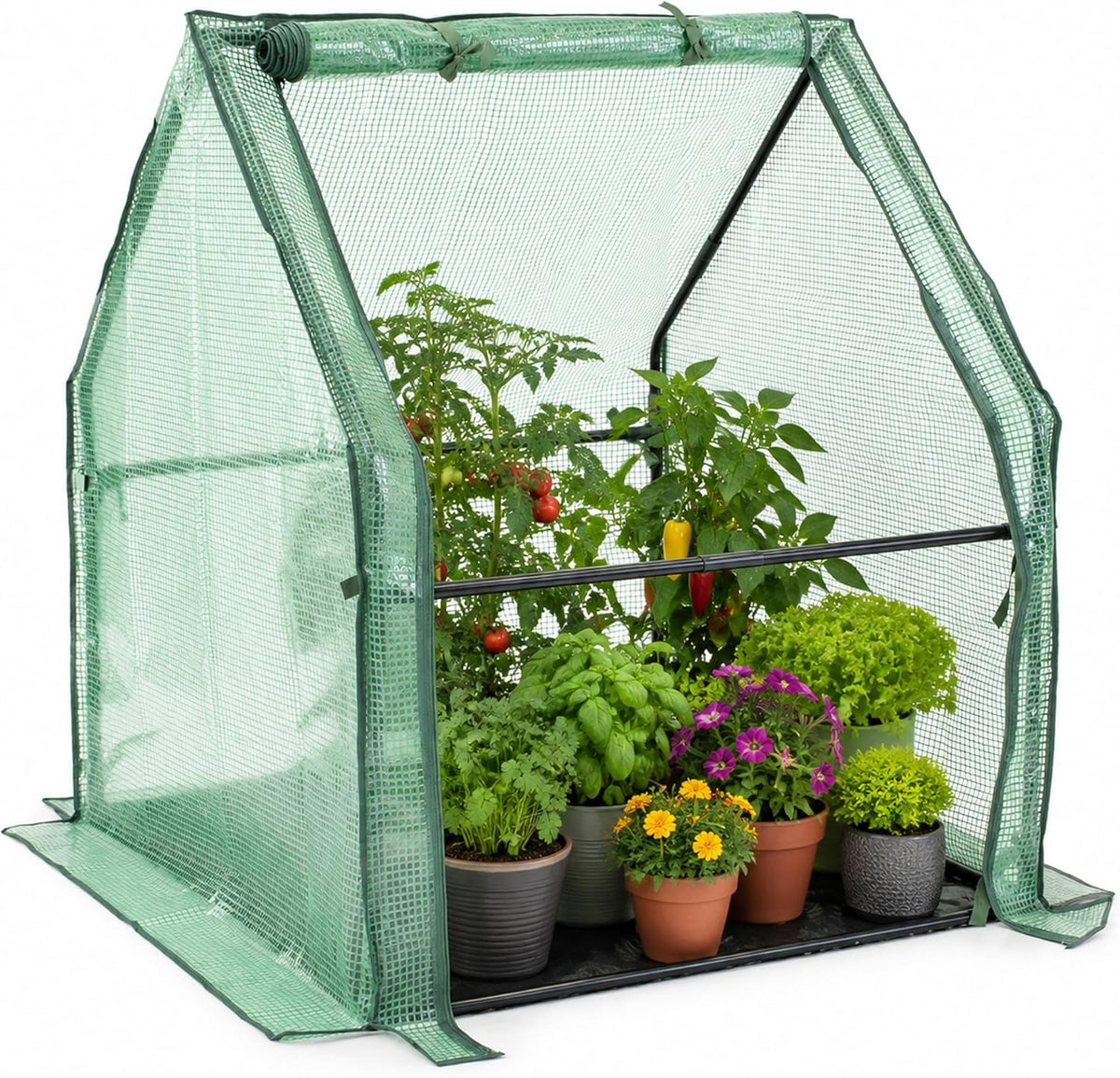 gardzen mini greenhouse, 36 x 36 x 42, main product view