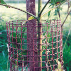 jb retail solutions garden experts 50mm 0.5 x, close-up detail