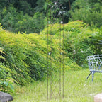 Arcadia Garden Products TR03 Arched Garden Trellis 6' x 10", Black