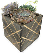 Wood Planter Box with Diamond Cross Hatch Style, 5 Inch Square, Rustic Barn Wood, Plastic Liner, Wedding Flowers Holder, Home and Venue Decor (5x5 Diamond Cross Hatch Set of 4, Natural)