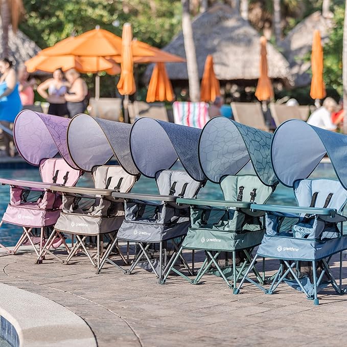 Baby Delight Go with Me Venture Portable Chair | Indoor and Outdoor | Sun Canopy | 3 Child Growth Stages | Canyon Rose