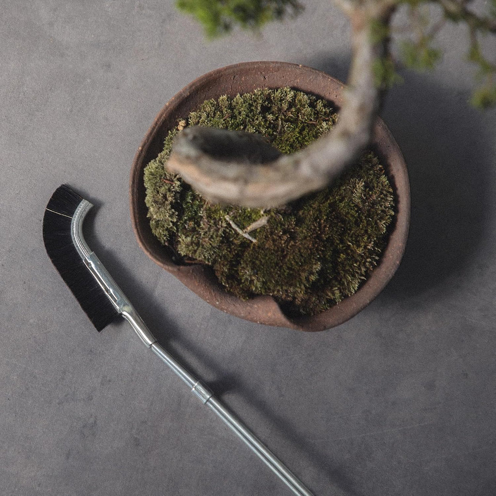 Wazakura Bonsai Curved Head Brush Made in Japan 9-1/4inch(235mm) - Black