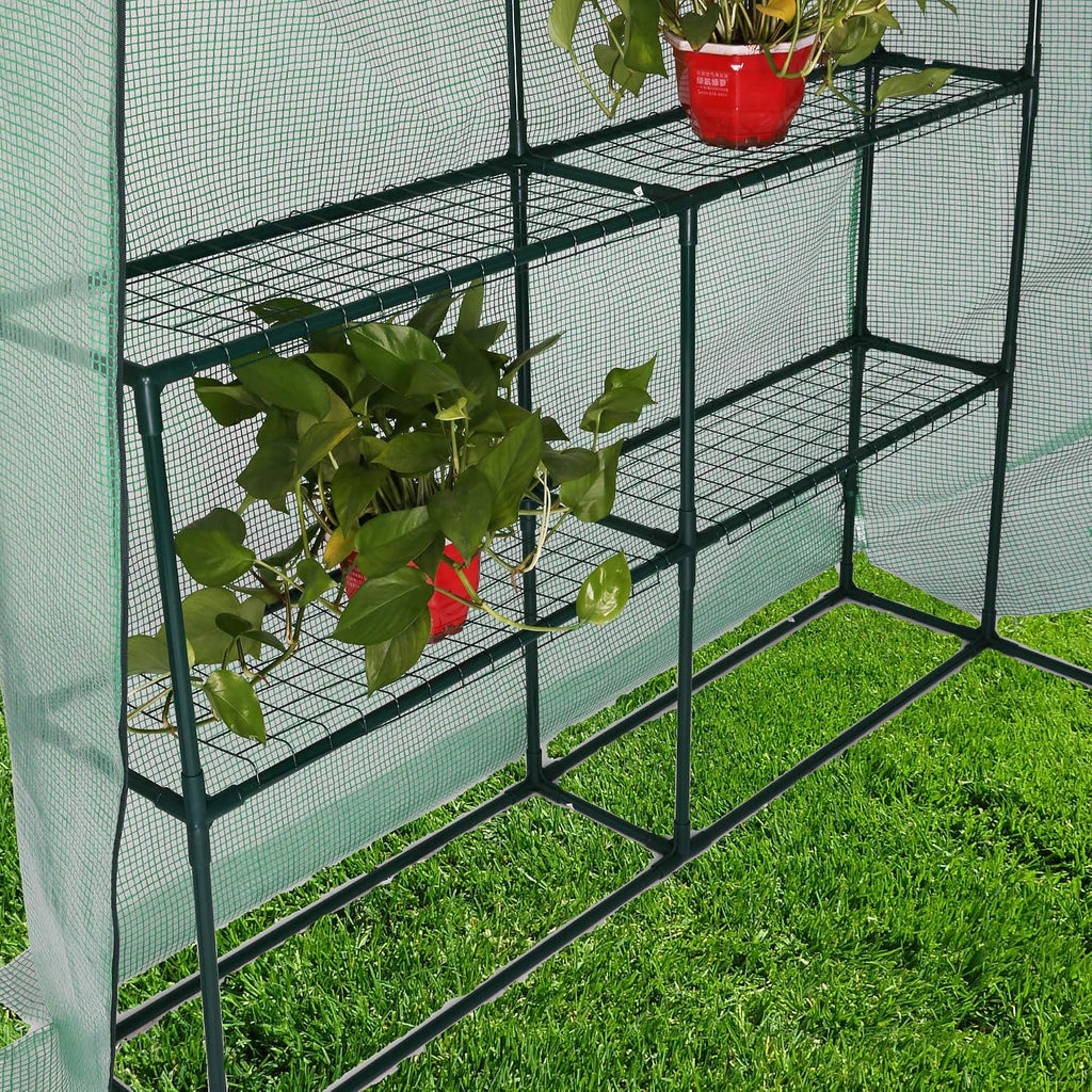 rapone mini greenhouse garden walk-in green house with on a desk or shelf