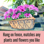 LaLaGreen Wall Planters - 2 Pack, 16 Inch Window Flower Boxes Outdoor, Deck Railing Hanging Metal Wire Basket Black with Coco Liners Horse Troughs Fence Balcony Garden Farmhouse Patio Porch Over Rail