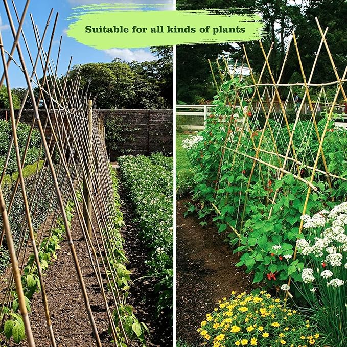 25pcs 7/20" D Thicker Heavy Duty Bamboo Stakes, 3FT Plant Stakes, Natural Garden Stakes for Tomato, Bean, Flowers,Trees Potted and Climbing Plant Support
