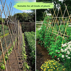 25pcs 7/20" D Thicker Heavy Duty Bamboo Stakes, 3FT Plant Stakes, Natural Garden Stakes for Tomato, Bean, Flowers,Trees Potted and Climbing Plant Support