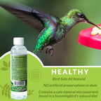 Nectar Defender Hummingbird Nectar Extender, Bird-Safe, Natural, 2-Pack | Bird-safe, Keeps nectar fresh, Reduces spoilage, Extends nectar up to 2 weeks, Dye-free, Protects 16 quarts, Made in USA