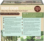 grow your own desert escape in a quality, close-up detail