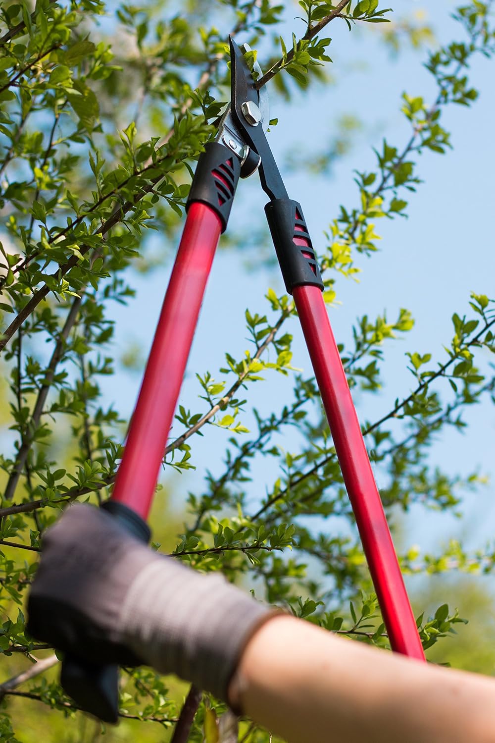 meister 9718100 bypass loppers, side view