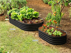 Plant & Plot Galvanized Raised Garden Beds Outdoor // 6×3×1 ft (2-Pack) Planter Raised Beds for Gardening, Vegetables, Flowers // Large Metal Garden Box // Patented Tool-Free Design (Black)
