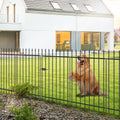 decorative metal garden fence with gate 42" x, main product view