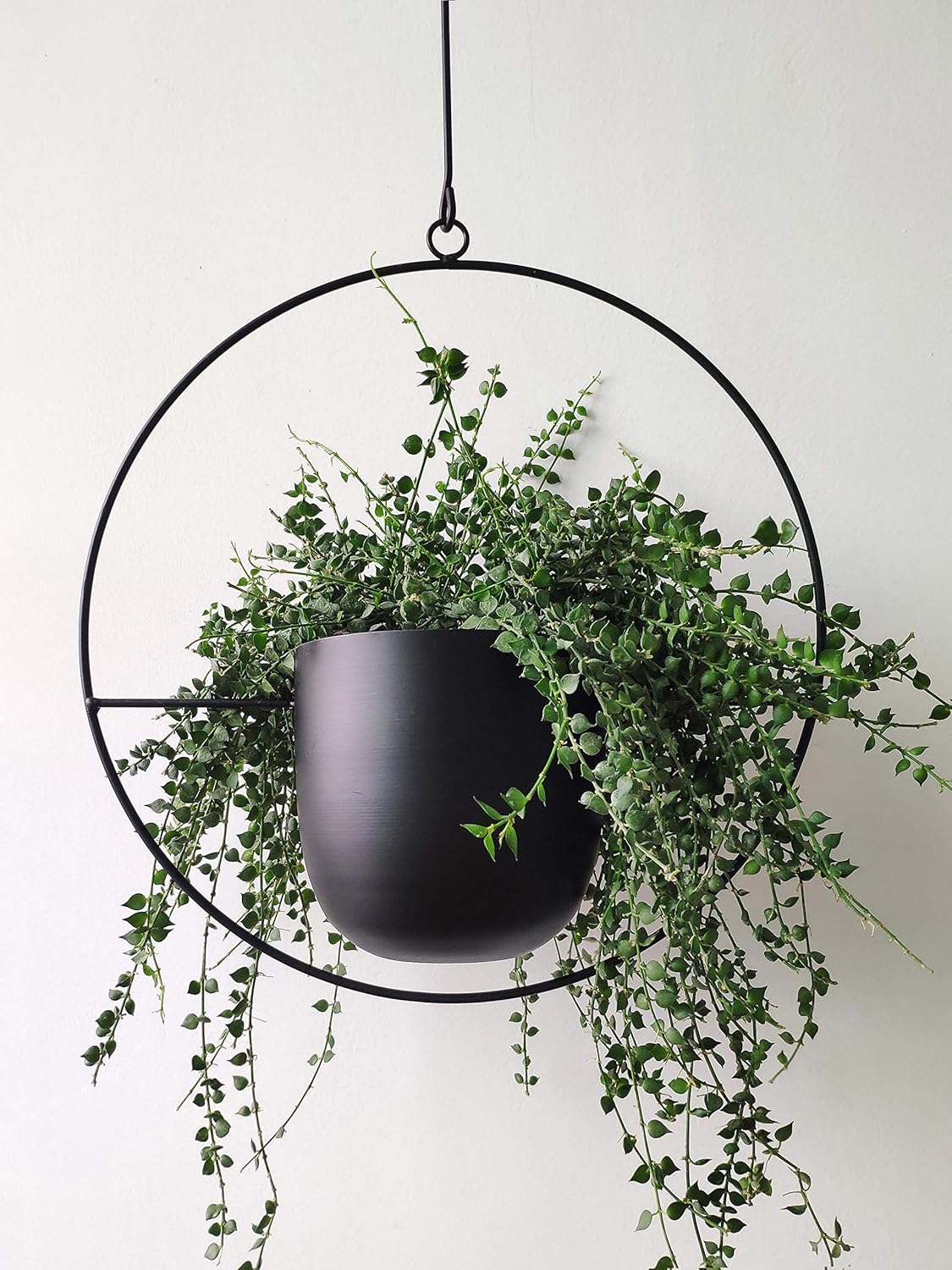 riseon boho black metal plant hanger,metal wall and, main product view